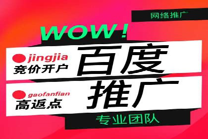 百度推广服务费案例：实现精准营销策略